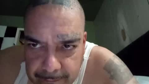 alfredo696969621471 online show from January 15, 5:40 am
