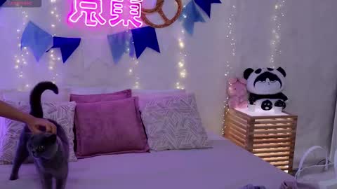 Snapshot of alice_charmy chatting on September 29, 5:23 am Alice in Wonderland online show from September 29, 5:23 am