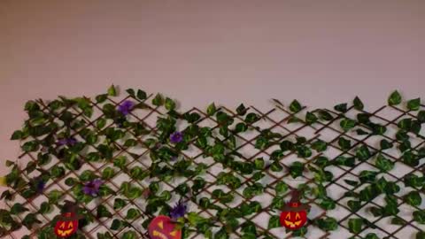 alice_rous21 online show from October 22, 2:50 pm