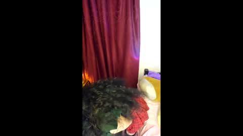 Alicekingdom online show from February 8, 12:03 am