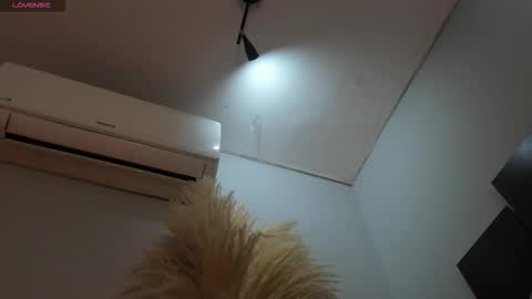 ALICE  online show from November 25, 2:55 am