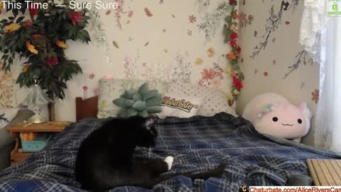 Alice Rivers ---- Enter my public Discord-  online show from January 18, 8:40 pm