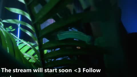 Alicia Lici  online show from December 2, 5:26 am