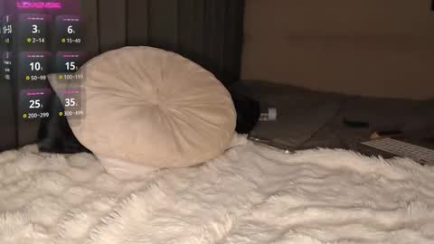 Alisa online show from February 21, 7:48 pm