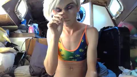 Alisha online show from January 4, 3:28 pm