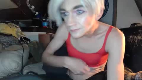 Alisha online show from January 15, 10:49 am