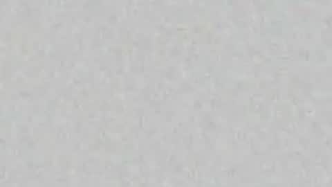 Alisse online show from July 9, 11:58 am