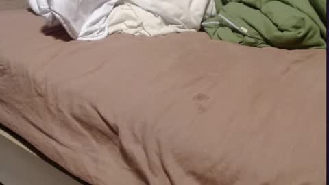 Snapshot of alissonnat chatting on March 11, 5:35 pm Alissonnat online show from March 11, 5:35 pm