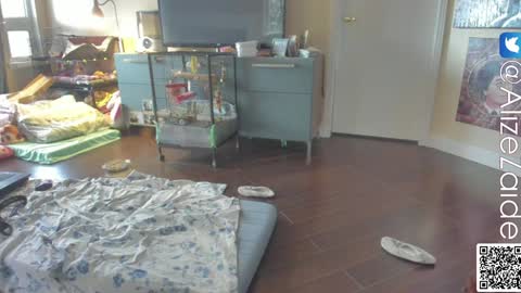 Alize Zaide online show from January 10, 10:04 pm