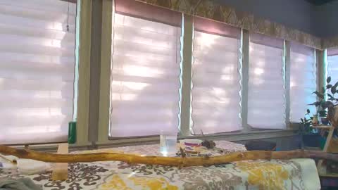 wishlist on bio online show from October 25, 7:08 pm