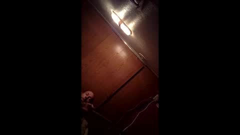 allister666pitfiend online show from February 13, 9:05 am