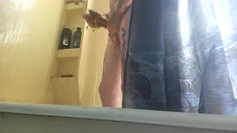 allwolf0323 online show from September 30, 4:45 pm