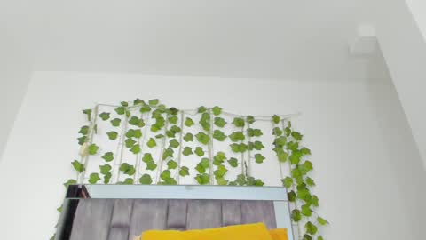 alyssia online show from September 10, 2:06 pm