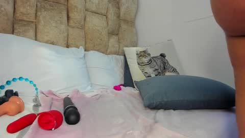 AMATISTA online show from November 12, 9:03 pm