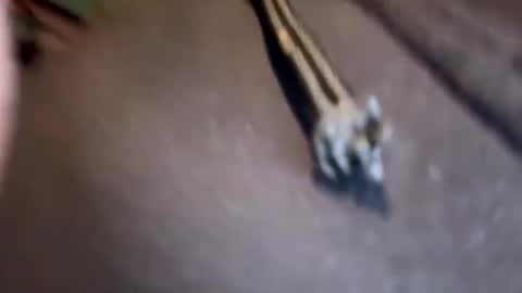 Jamesy online show from January 17, 3:11 pm