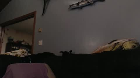 Snapshot of ambers666999 chatting on October 25, 2:19 am ambers666999 online show from October 25, 2:19 am