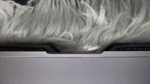 Amelia online show from March 15, 6:58 pm