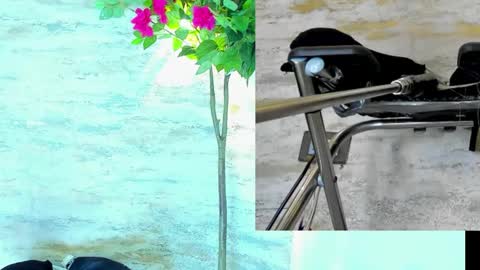  AMELIA.  online show from March 15, 1:33 am