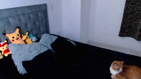 Snapshot of ammanda_ chatting on April 16, 12:00 am diana online show from April 16, 12:00 am