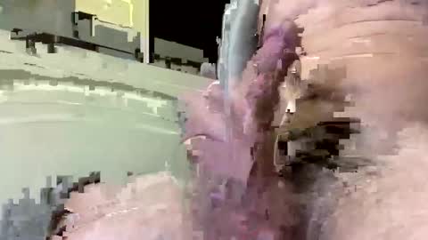 amok1001 online show from February 8, 8:07 am