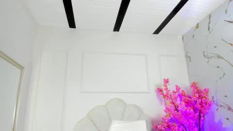 Amykord online show from October 15, 11:32 am