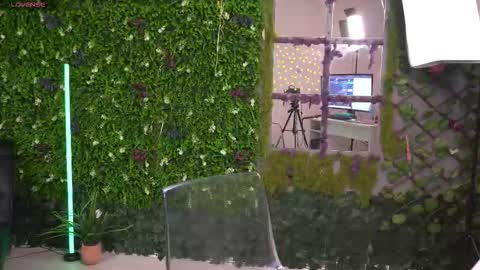 Ana online show from January 31, 7:11 pm