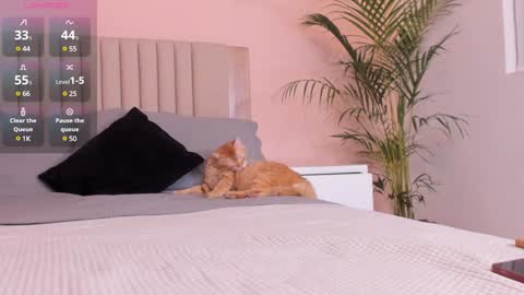 Snapshot of anahenao chatting on February 1, 12:40 am Ana Henao or Annie... Follow me ahenaocb Insta X online show from February 1, 12:40 am