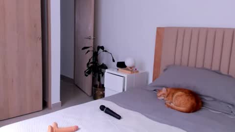 Snapshot of anahenao chatting on September 26, 8:57 pm Ana Henao or Annie... Follow me ahenaocb Insta X online show from September 26, 8:57 pm