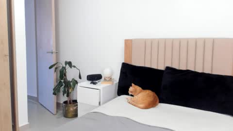 Snapshot of anahenao chatting on October 25, 9:42 pm Ana Henao or Annie... Follow me ahenaocb Insta X online show from October 25, 9:42 pm