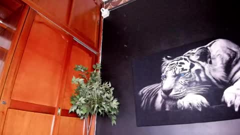 Anahi online show from February 22, 4:40 am