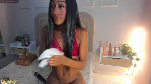 Snapshot of anamonroee chatting on February 11, 8:03 pm anamonroee online show from February 11, 8:03 pm