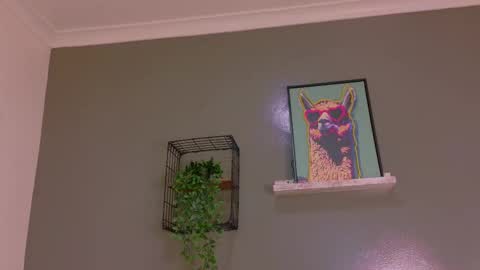 Kendra  online show from October 17, 10:18 am