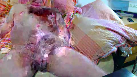 Andi online show from November 20, 4:34 am