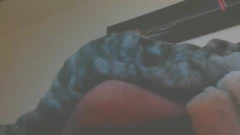 andreas online show from March 5, 5:14 am