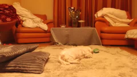 Snapshot of andrasweetie chatting on November 18, 10:25 pm Andra online show from November 18, 10:25 pm