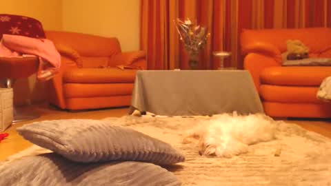 Snapshot of andrasweetie chatting on December 13, 7:53 pm Andra online show from December 13, 7:53 pm