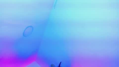 Snapshot of andrea_sexdollx chatting on February 13, 8:38 pm ANDREINA online show from February 13, 8:38 pm