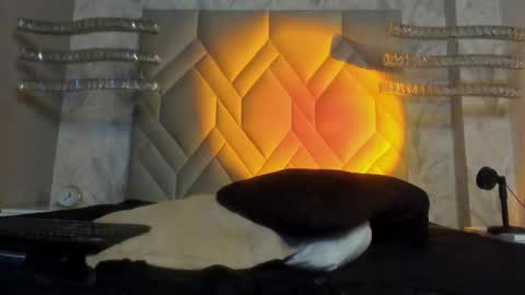 andy palmer online show from January 5, 9:48 am