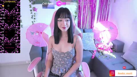          online show from December 12, 2:33 pm