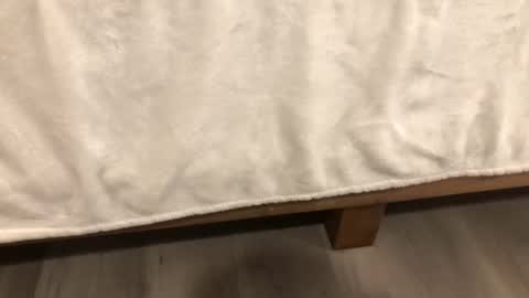 Mira13 online show from February 14, 6:32 am