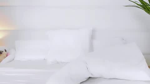 Angelic online show from November 1, 2:35 am