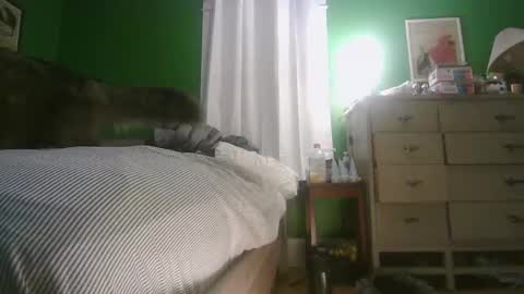 Ani online show from February 15, 11:30 am