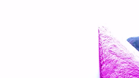 ana independent model online show from January 15, 7:37 am