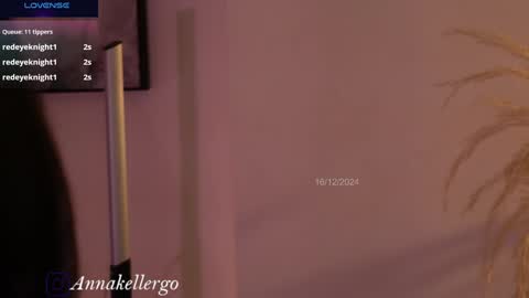 Snapshot of annakellergo chatting on December 16, 11:18 pm Anna k online show from December 16, 11:18 pm