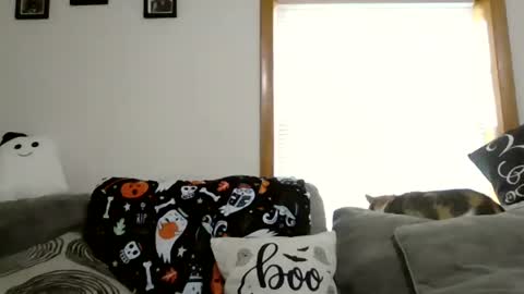 anne online show from October 28, 1:47 pm