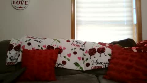 anne online show from January 12, 5:40 pm