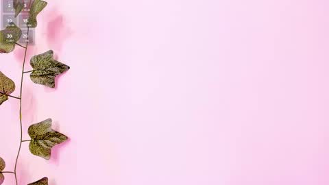 Snapshot of annebull_ chatting on February 2, 9:23 pm Anne online show from February 2, 9:23 pm