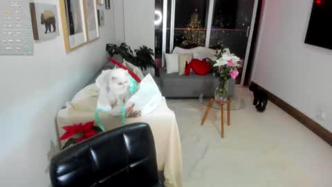 Anny online show from December 1, 1:54 am