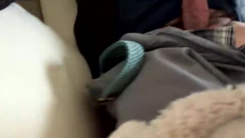 anonomousloser online show from March 19, 2:43 pm