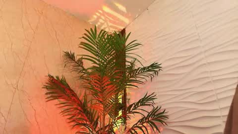 anton__monacu online show from November 25, 3:50 am